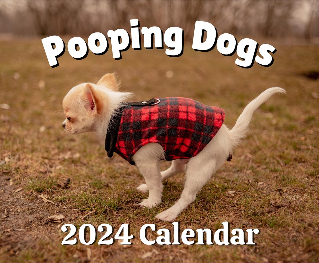 2024 Pooping Pooches Pooping Dogs 2024 Calendar White Etsy UK