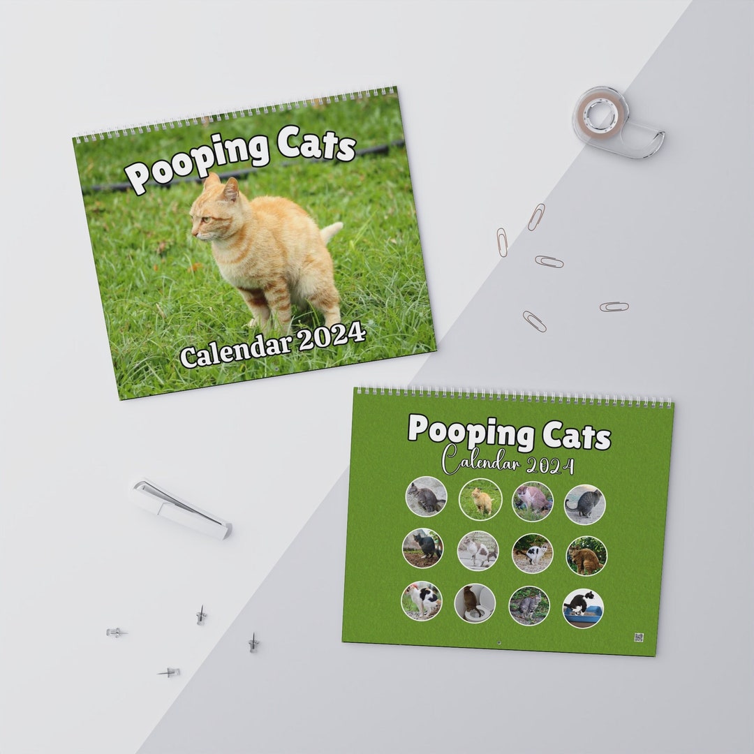 Pooping Cats Calendar 2024 Wall Calendars 2024 Funny Gift for Etsy UK
