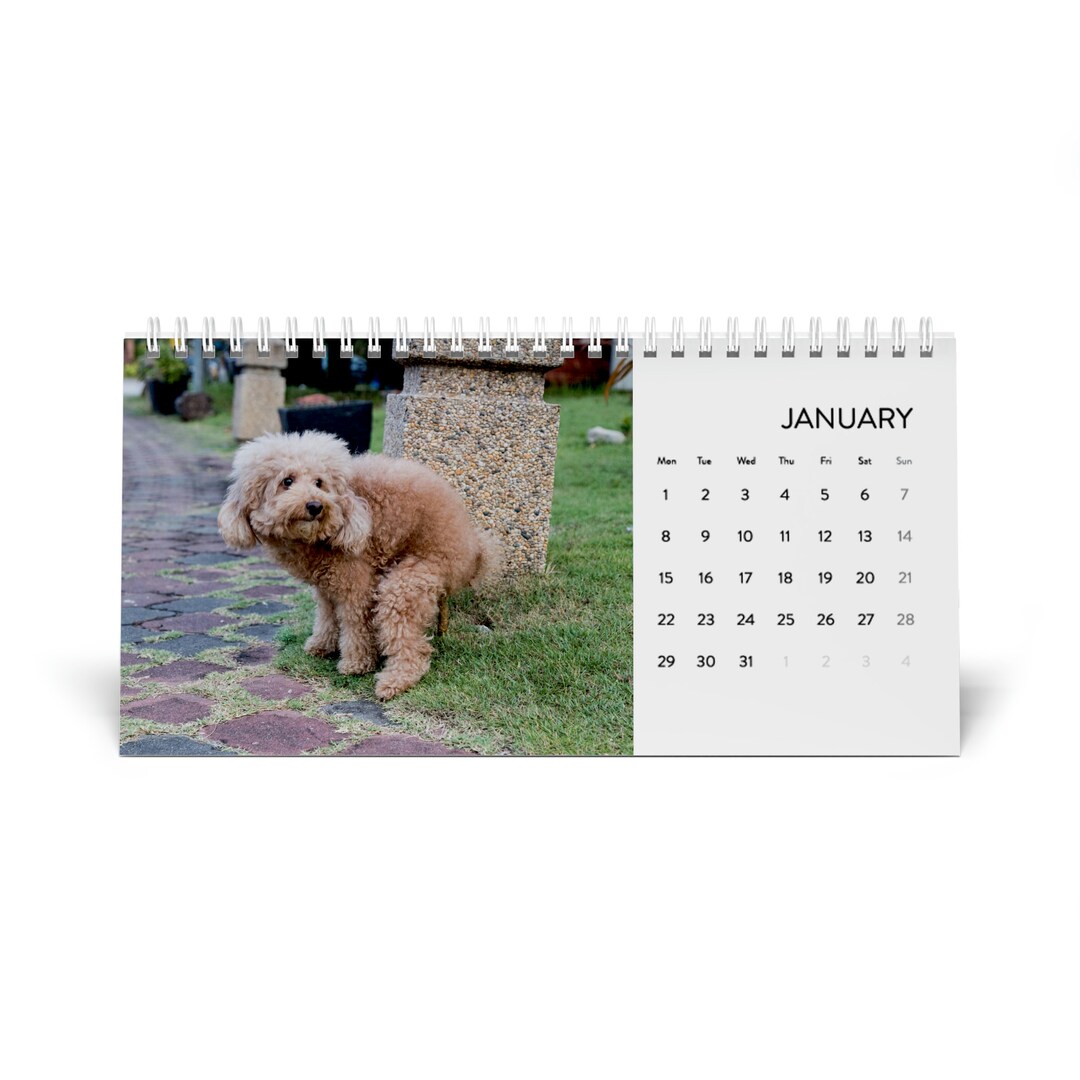 Pooping Dogs Desk Calendar 2024 Funny Christmas Gift for Dog Etsy
