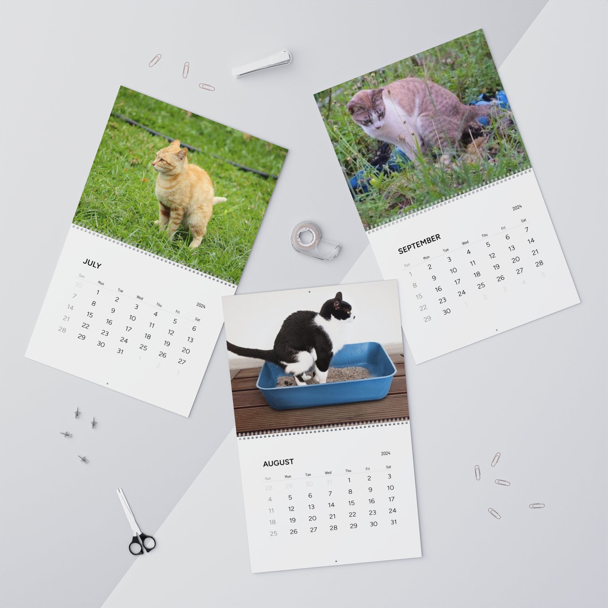 Pooping Cats Calendar 2024 Wall Calendars 2024 Funny Gift for Etsy