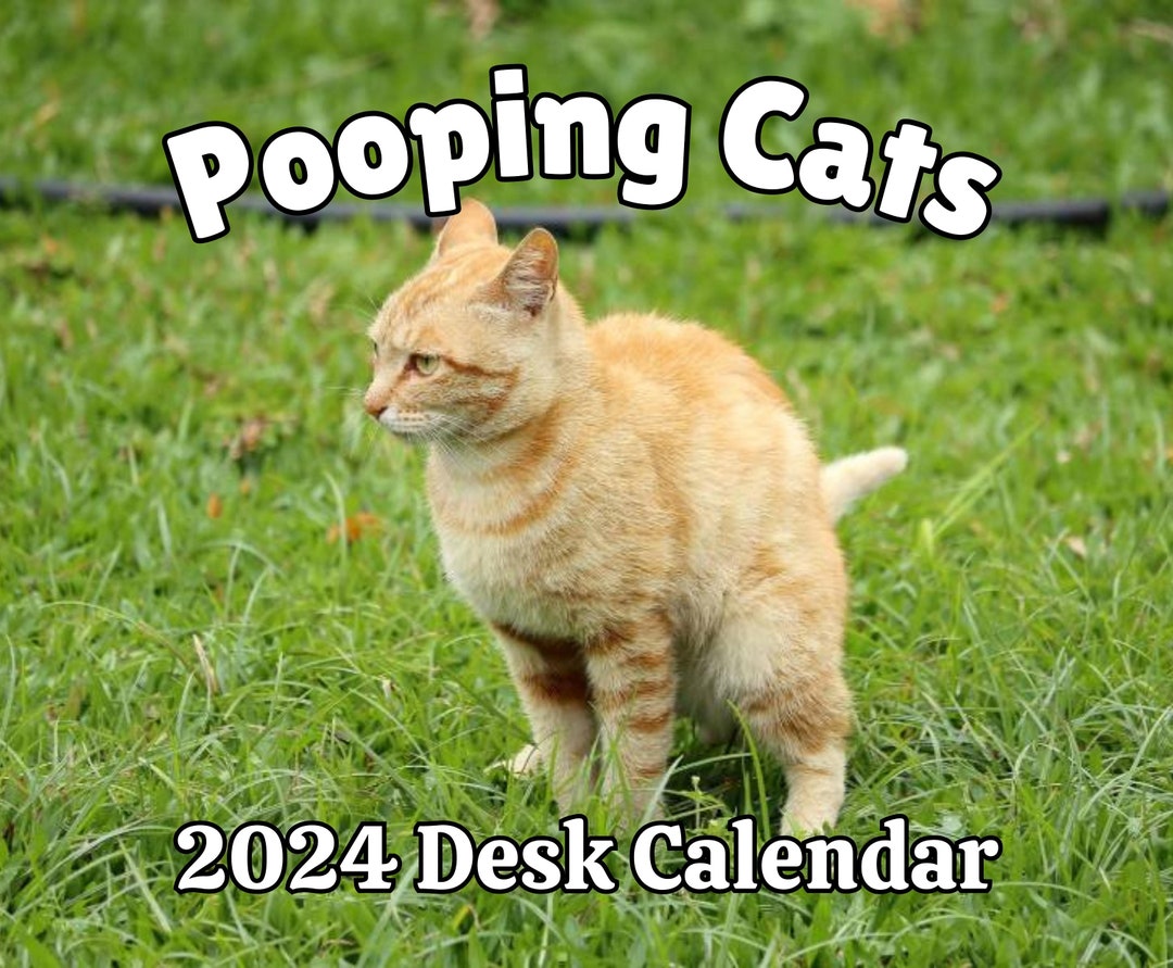2024 Pooping Cats Desk Calendar 2024 White Elephant Yankee Etsy UK
