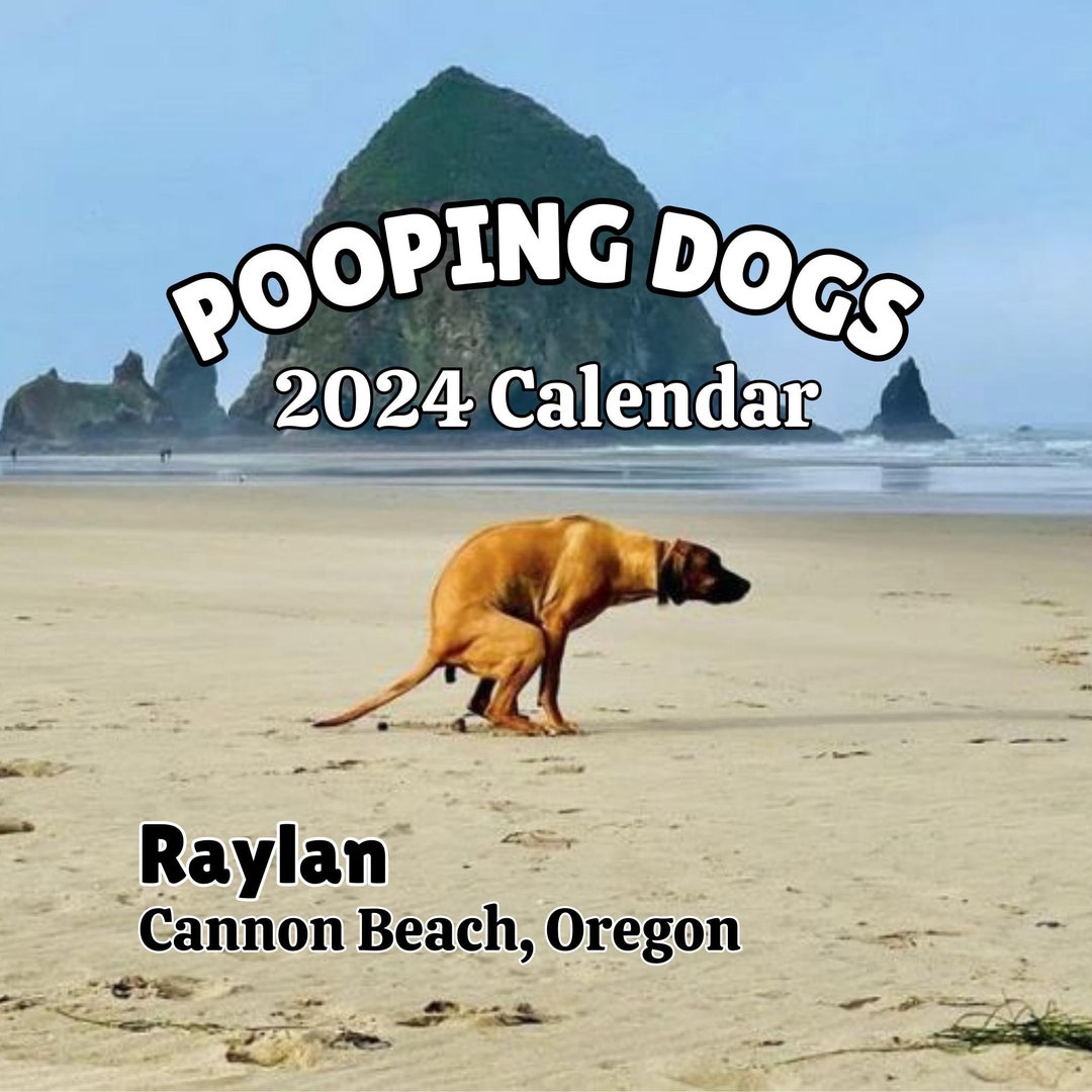 2024 Pooping Pooches Popping Dogs Desk Calendar 2024 White Etsy