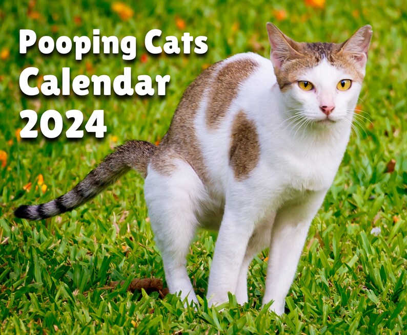 Pooping Cats Calendar 2024, White Elephant, Gag Gift, Monthly Wall