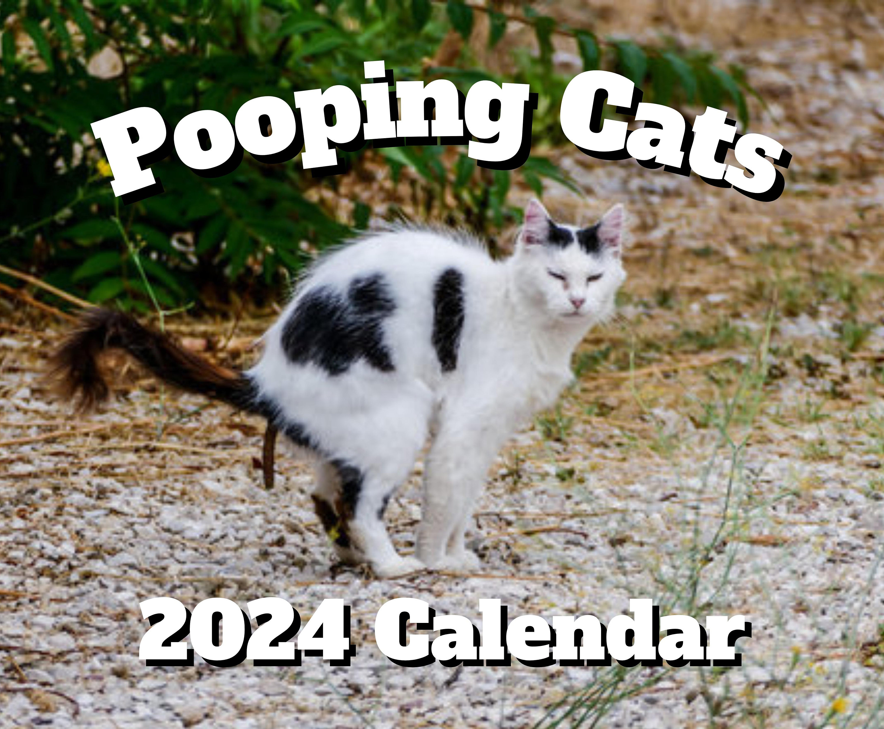 Pooping Cats Calendar 2024 Wall Calendars 2024 Funny Gift for Etsy UK