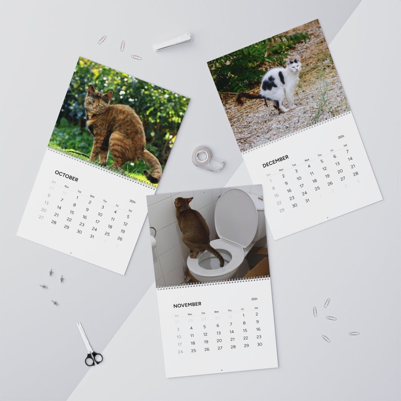 Pooping Cats 2024 Calendar 2024 Funny Gift for Cat Lover Gag Etsy