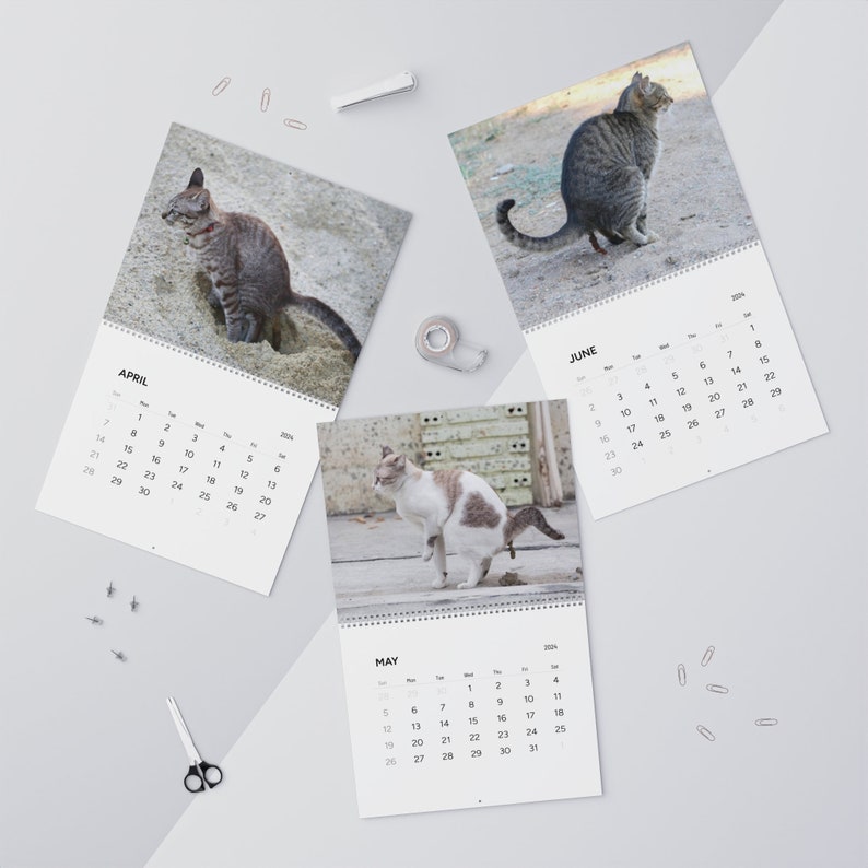 Pooping Cats Calendar 2024 Wall Calendars 2024, Funny Gift for Cat