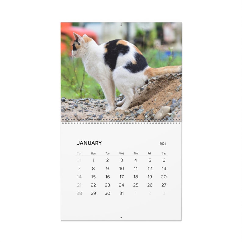 Pooping Cats Calendar 2024 Wall Calendars 2024, Funny Gift for Cat