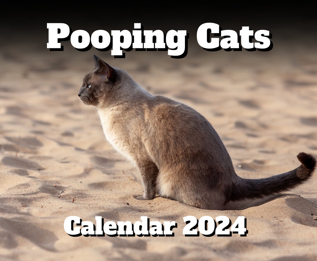 Pooping Cats Calendar 2024 Wall Calendars 2024 Funny Gift for Etsy