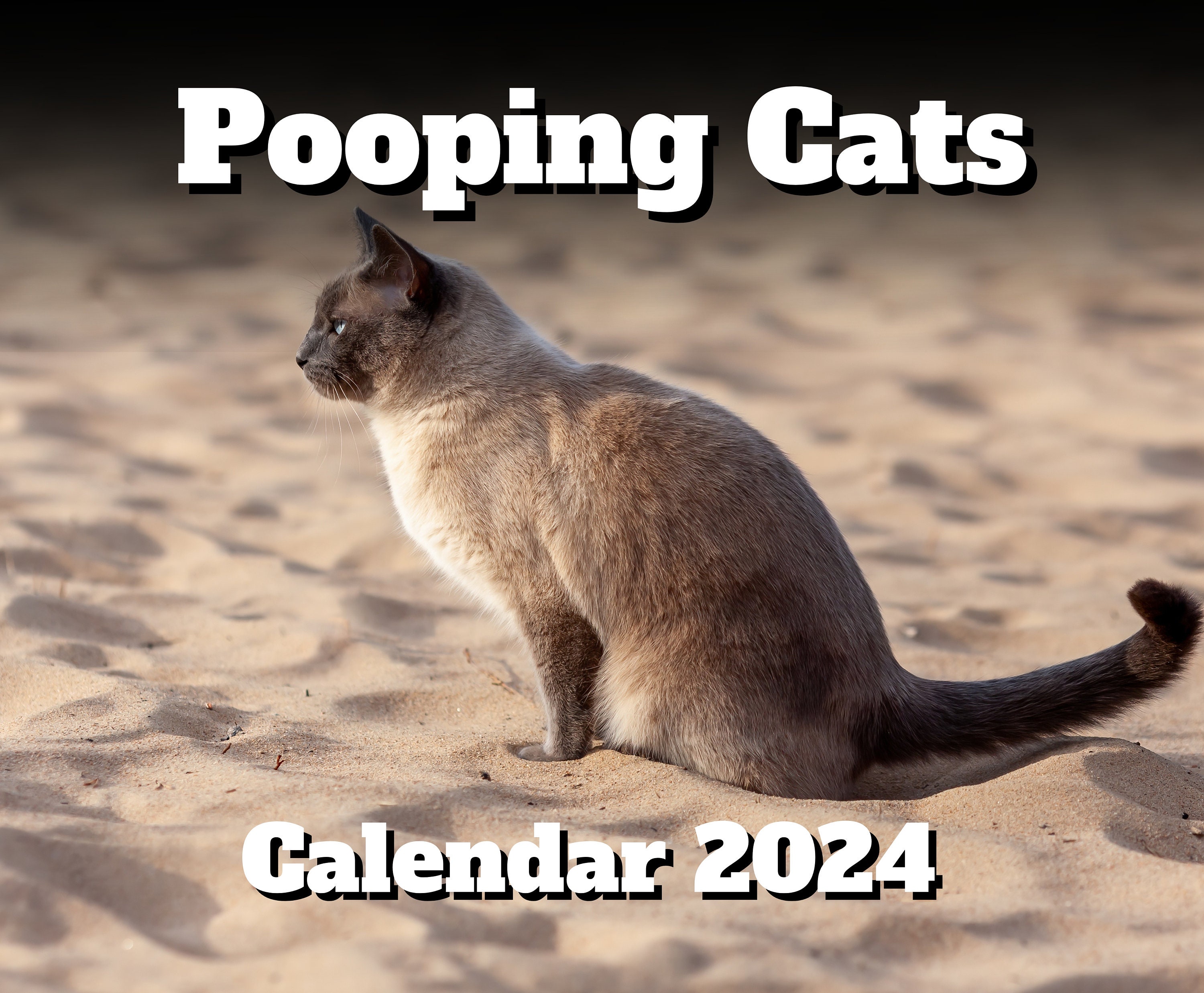 Calendrier 2024 Cat Balls, calendrier chat 12 mois à suspendre 2024 drôle,  calendrier mural 2024 mois à visualiser, calendrier mural mensuel 2024 avec