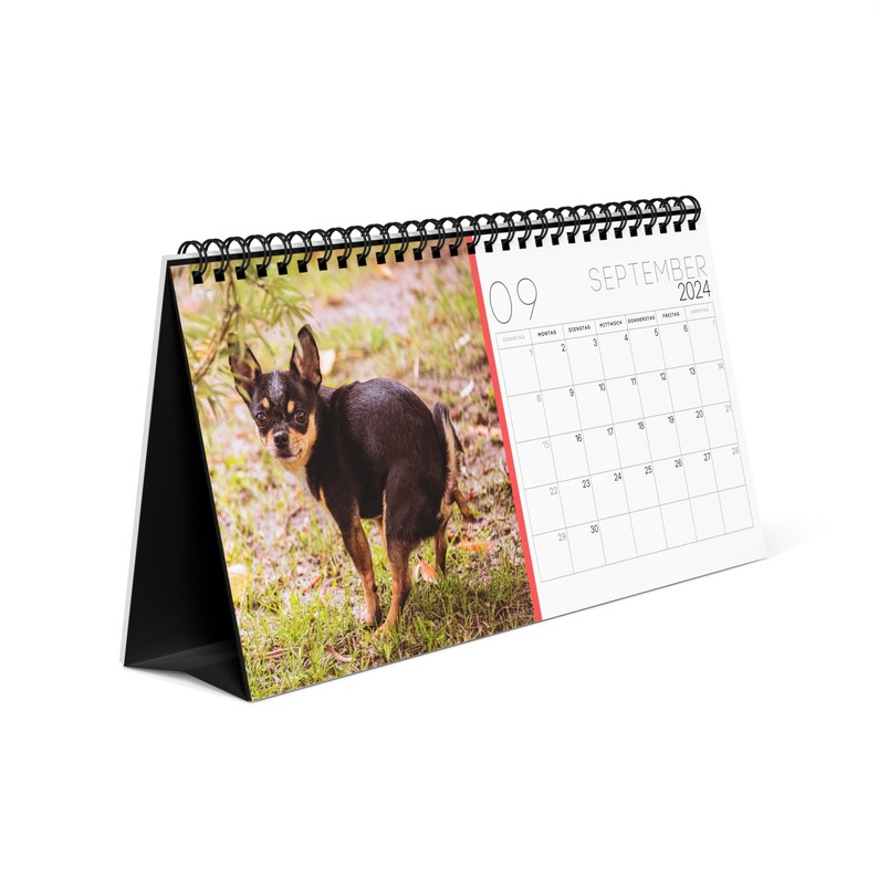 Kackende Hunde Kalender 2024 Lustige Geschenk Für Männer, Frauen