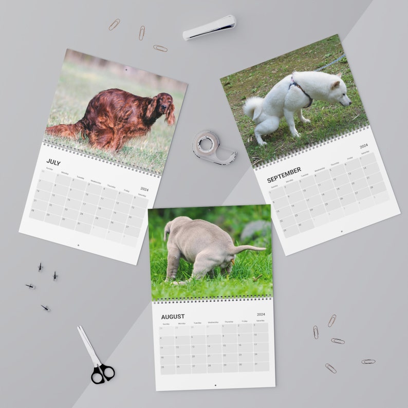 Funny Pooping Dogs 2024 Calendar, White Elephant Gag Gift Exchange or