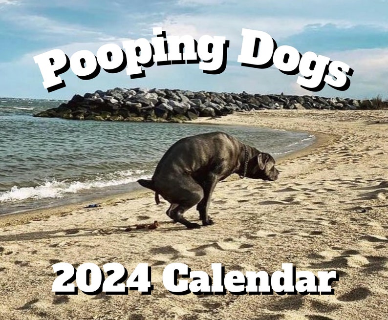 Funny Pooping Dogs 2024 Calendar, White Elephant Gag Gift Exchange or