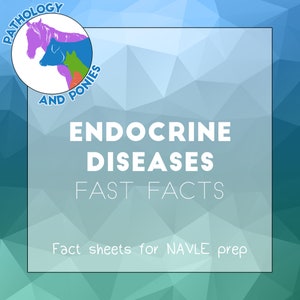 Endocrine Diseases Fast Facts - Quick reference fact sheets for veterinary school, NAVLE or VTNE studying