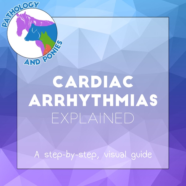 ECGs and Cardiac Arrhythmias Explained - Step-by-Step visual guide for veterinary school, NAVLE, VTNE or medical school studying