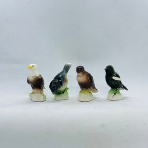 Può includere: Quattro statuine di uccelli in ceramica, ognuna con una specie e un colore diverso. Gli uccelli sono in piedi su piccole basi verdi. Gli uccelli sono un'aquila calva, un merlo blu, un passero marrone e un uccello bianco e nero.