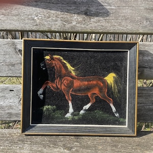 Black Velvet Horse Painting, made in Mexico