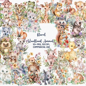 Bundle de cliparts animaux de la forêt bohème mignon, aquarelle mignonne chambre d'enfant Art cerf renard koala hibou lapin hérisson ours écureuil lapin numérique Png
