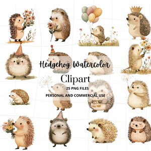 Niedliches Aquarell Igel Png Clipart Bundle, Baby Igel Bilder für Kinderzimmer Dekor Geburtstagsfeier lädt ein Digitaler Download Kommerzielle Nutzung