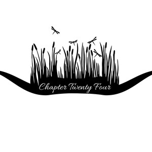 May include: Black and white illustration of a grassy field with dragonflies flying above. The text "Chapter Twenty Four" is written below the field.