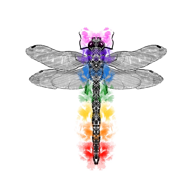 Dragonfly Printable Wall Art Insect Digital Poster Spirit Animal Art ...