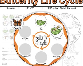 Butterfly Life Cycle Activity Digital Download // Sequencing //Preschool Printable // Homeschool // Science // Butterfly  Life Cycle