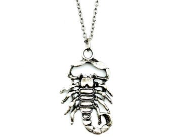 Puede incluir: Collar con colgante de escorpión plateado. El colgante presenta un diseño detallado de escorpión con un cuerpo texturizado y pinzas articuladas. El collar tiene una cadena delicada y un cierre de mosquetón.