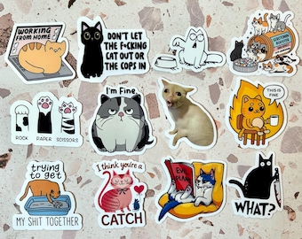 10-50pcs Funny Cat Meme Stickers for Laptop, Water Bottle, Phone Case ...