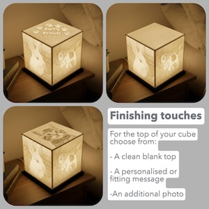 May include: A cube-shaped lamp with images of a rabbit, a dog, and a cat. The top of the lamp has the text "Furry Friends" and paw prints. The lamp is on a dark square base, and the light is glowing.