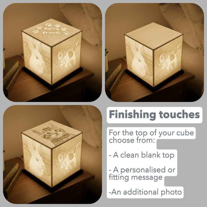 May include: A cube-shaped lamp with images of a rabbit, a dog, and a cat. The top of the lamp has the text "Furry Friends" and paw prints. The lamp is on a dark square base, and the light is glowing.