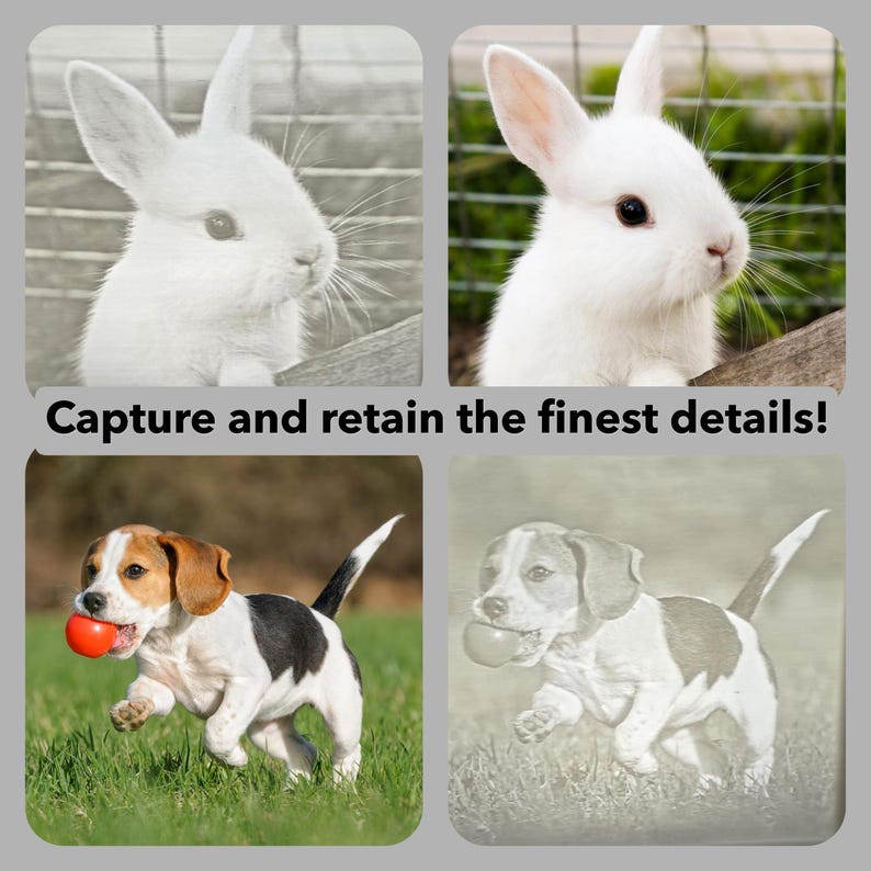 May include: A collage of four images. Two show a white rabbit, one in color and one in grayscale. The other two show a beagle puppy with a red ball, also in color and grayscale. The text "Capture and retain the finest details!" is at the bottom.