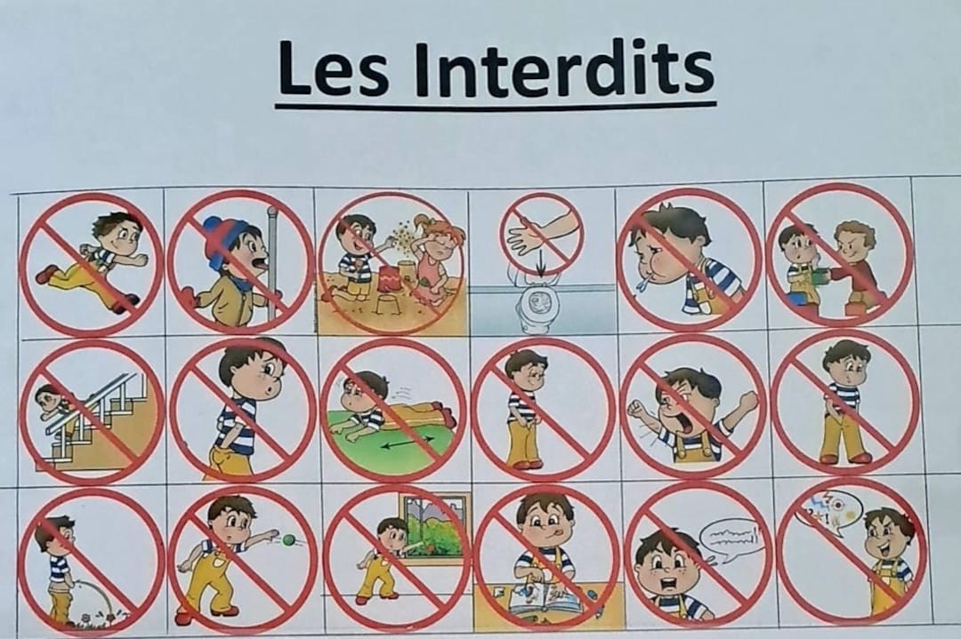 Lot De Pictogrammes/ PECS Etsy Canada