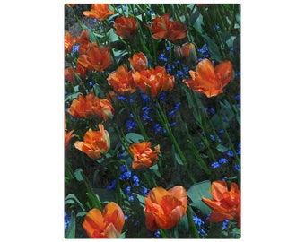 Velveteen Minky Blanket - Spring Tulips