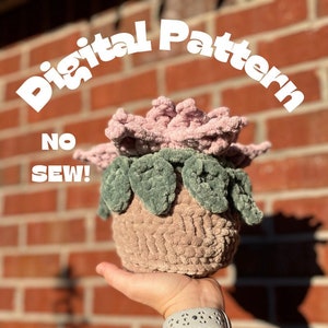 May include: A crocheted succulent plant in a pink pot with green leaves. The text "Digital Pattern NO SEW!" is in the background.