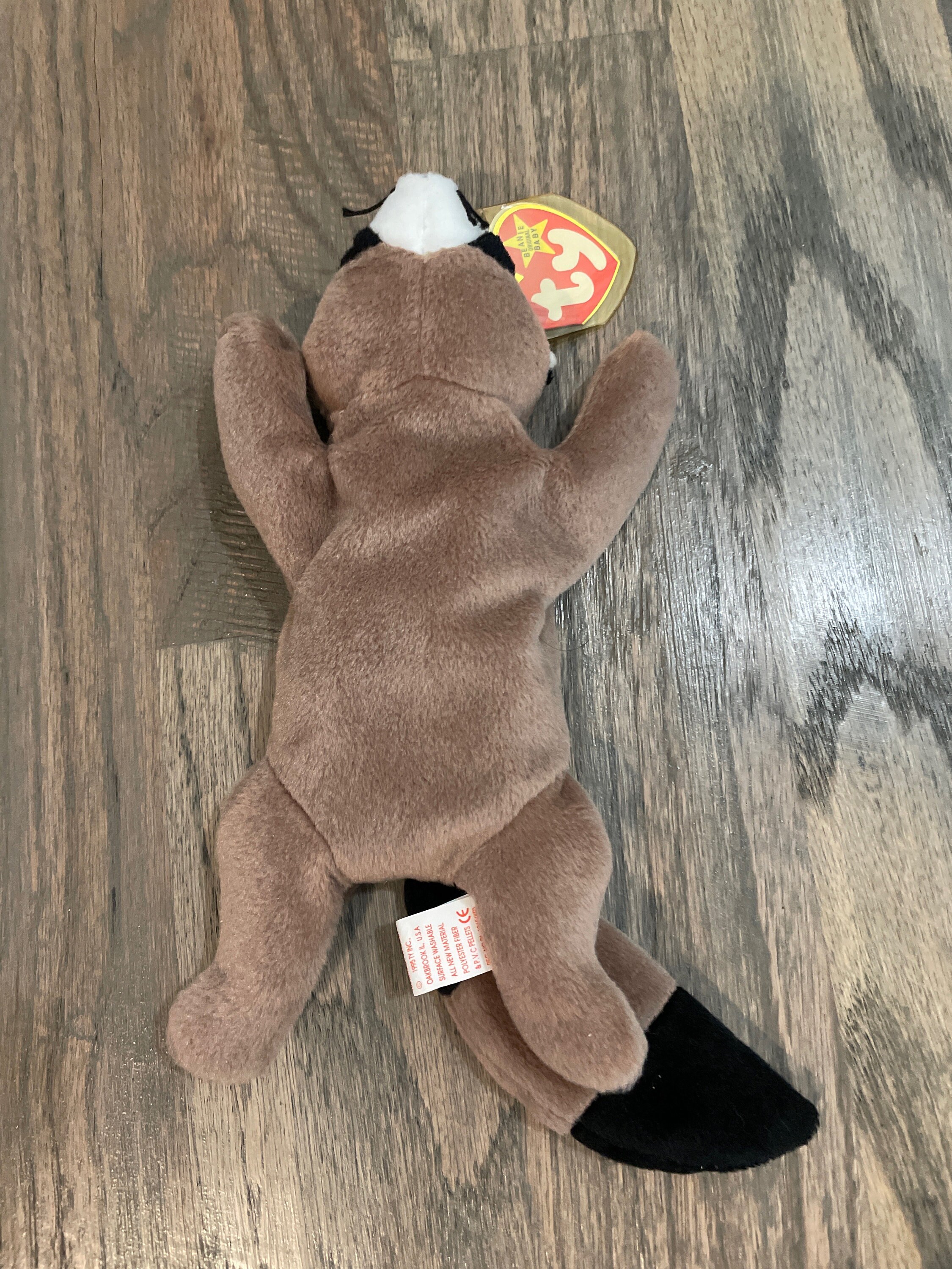 Ringo Raccoon Ringo the Raccoon | Ty Beanie Baby | MINT Condition - Etsy