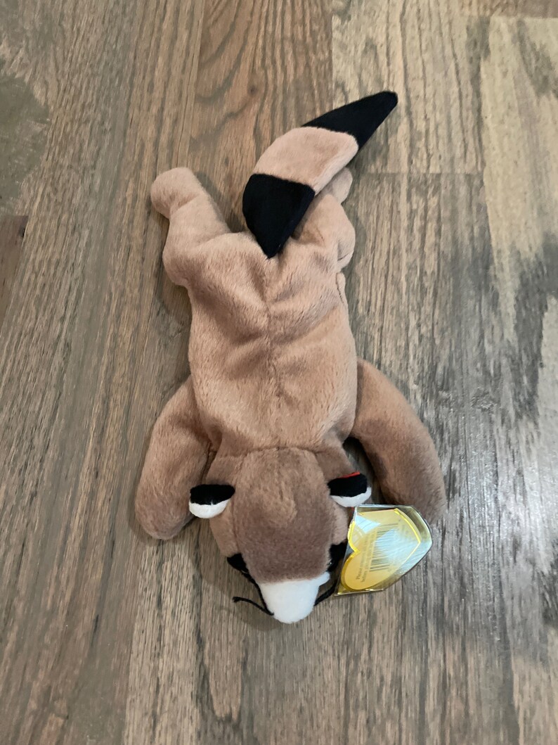 Ringo Raccoon Ringo the Raccoon | Ty Beanie Baby | MINT Condition - Etsy