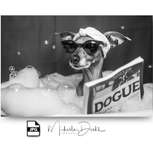 Whippet in the Bathtub Digital Art, Gift for Dog Lovers, Humorous Animal Decor