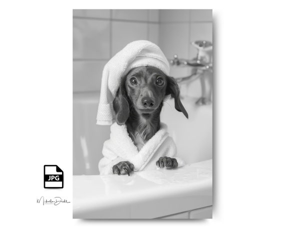 Funny Dachshund in Bathtub Photo Wall Art for Dog Lovers Digital Download Etsy