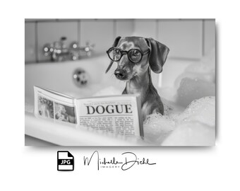 Cute Dachshund Bathroom Art, Dog Lover Gift, Humorous Digital Download Photo