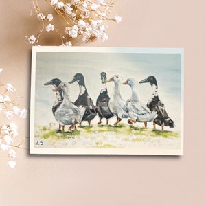 Flock of Runner Enten Karte 105 x 148 mm| Enten-Karte | Blanko Grußkarte| Britische Landwirtschaft| Naturliebhaber