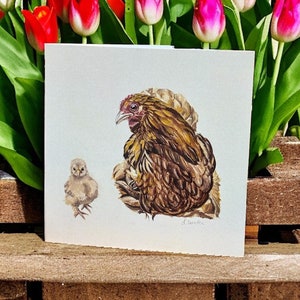 Tarjeta de felicitación de gallina y pollito de 148 x 148 mm/Tarjeta de gallina y pollito/Tarjeta del día de la madre con gallinas/Amantes de las gallinas/Tarjeta de Pascua/Criadores de gallinas