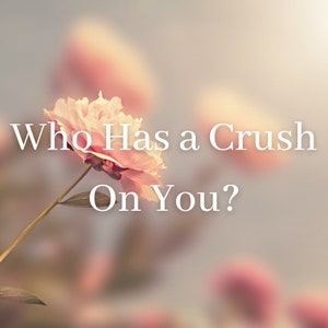 Who Has A Crush On You?