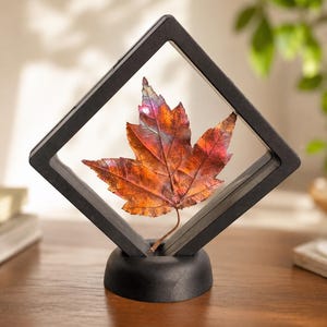 May include: A metallic maple leaf with iridescent copper, red, and purple tones suspended inside a black diamond-shaped floating frame. The frame is mounted on a circular black base, creating a display piece that highlights the leaf's texture.