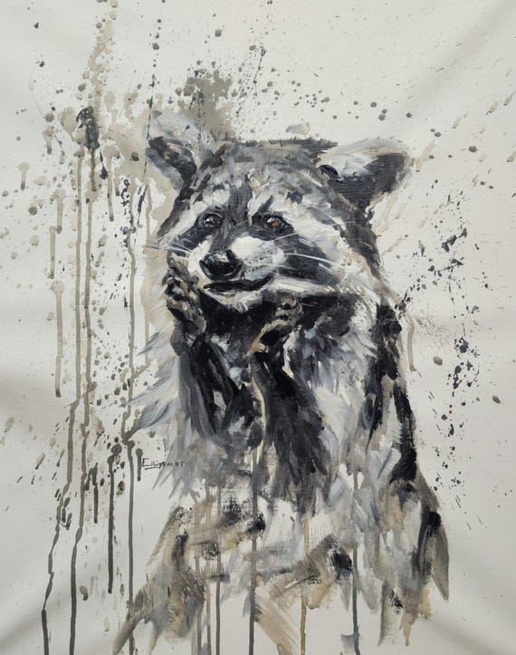 Raccoon