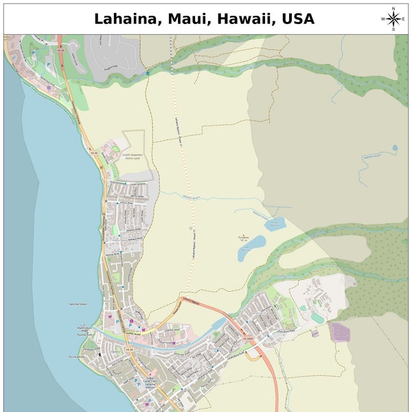 Lahaina, Maui, Hawaii Map with STREET LABELS, Digital Print Poster, Printable Map, City Street Road Map, Collectible Map, Modern Map