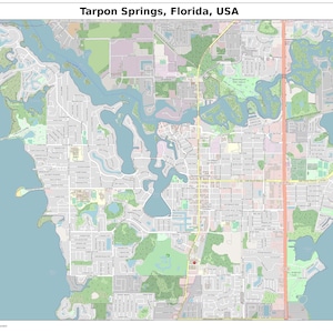Tarpon Springs, Florida kaart met straatlabels, digitale print poster, afdrukbare kaart, stadsstraat routekaart, verzamelkaart, moderne kaart