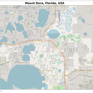 Mount Dora, Florida Kaart met STRAATLABELS, Digitale Print Poster, Afdrukbare kaart, City Street Road Map, Collectible Map, Moderne kaart