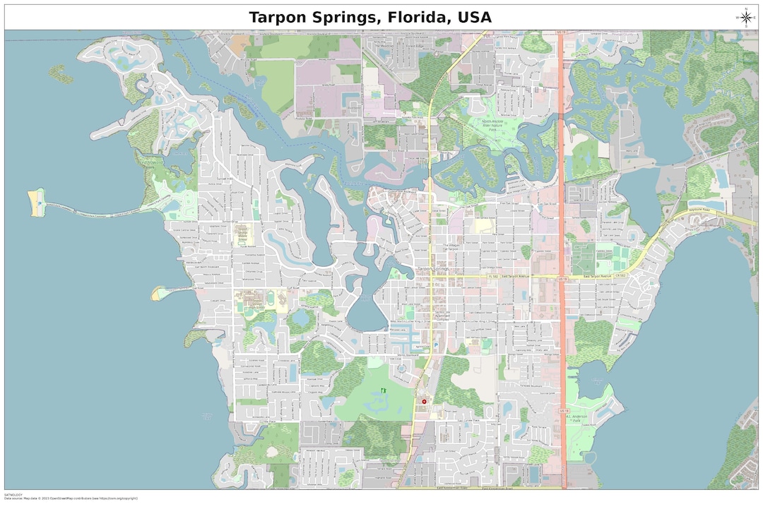 Tarpon Springs, Florida Map With STREET LABELS, Digital Print Poster, Printable Map, City Street