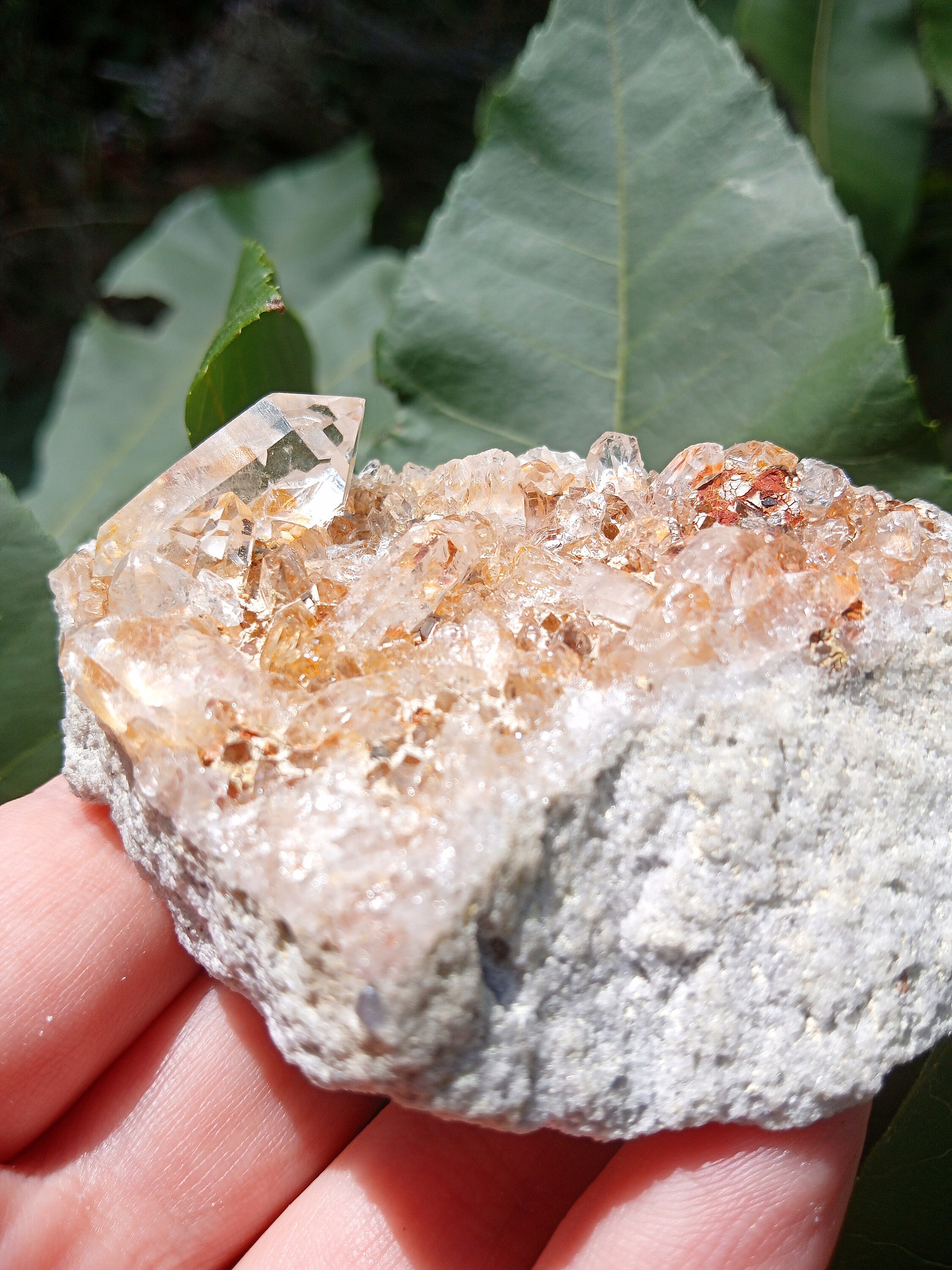 Golden Healer Arkansas Cluster - Etsy Golden Healer Arkansas Cluster - Etsy