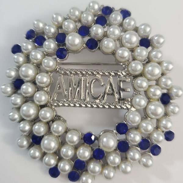 Zeta Amicae  Pin brooch