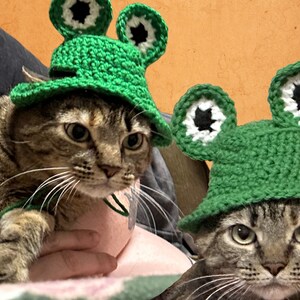 Crochet Froggy Pet Hat